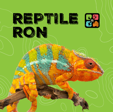 Central: Reptile Ron Animal Presentations